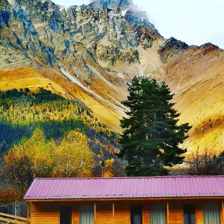 Hotel Ushba Hill メスティア エクステリア 写真