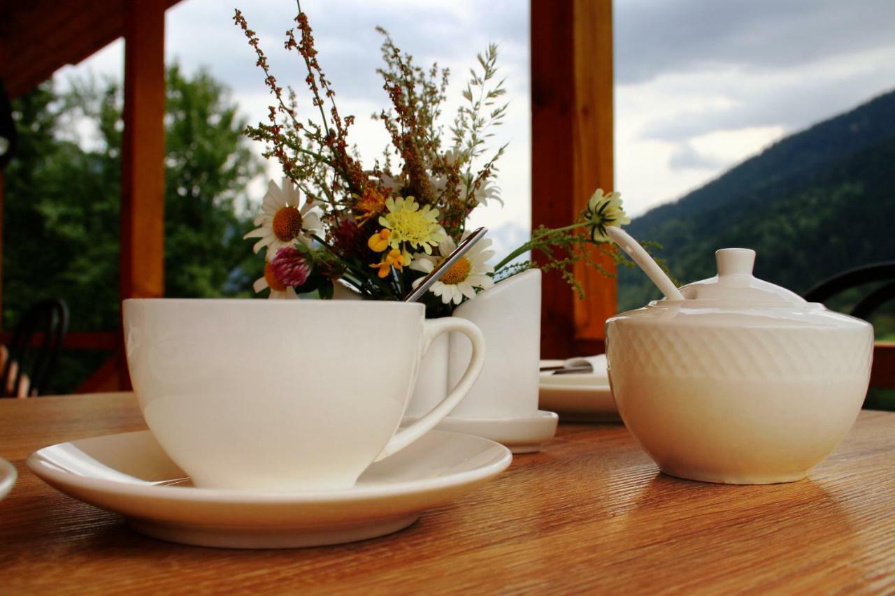 Hotel Ushba Hill メスティア エクステリア 写真