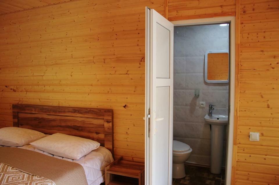 Hotel Ushba Hill メスティア エクステリア 写真