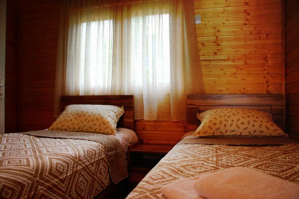 Hotel Ushba Hill メスティア エクステリア 写真